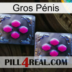 Gros Pénis 01